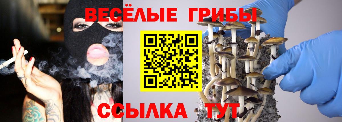 Соль-Илецк  Псилоцибиновые грибы Cubensis  Вход с VPN  Галлюциногенные грибы Psilocybine cubensis 